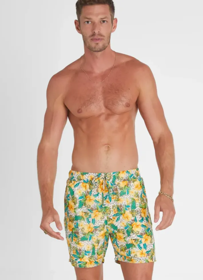 Women Aqua Blu Dahlia Taylor Shorts