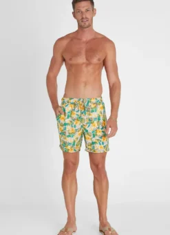 Women Aqua Blu Dahlia Taylor Shorts