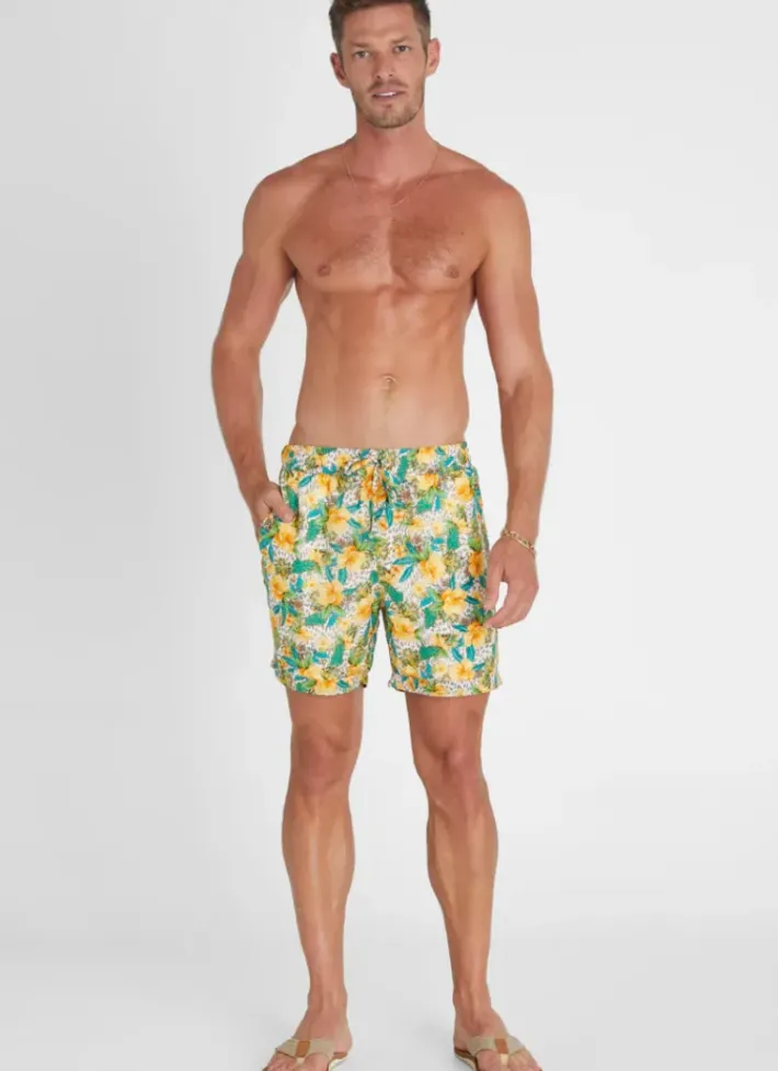 Women Aqua Blu Dahlia Taylor Shorts