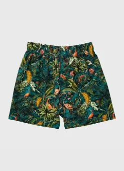 Kids/BOY Aqua Blu Lycra Boardshorts
