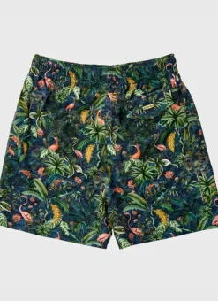 Kids/BOY Aqua Blu Running Shorts