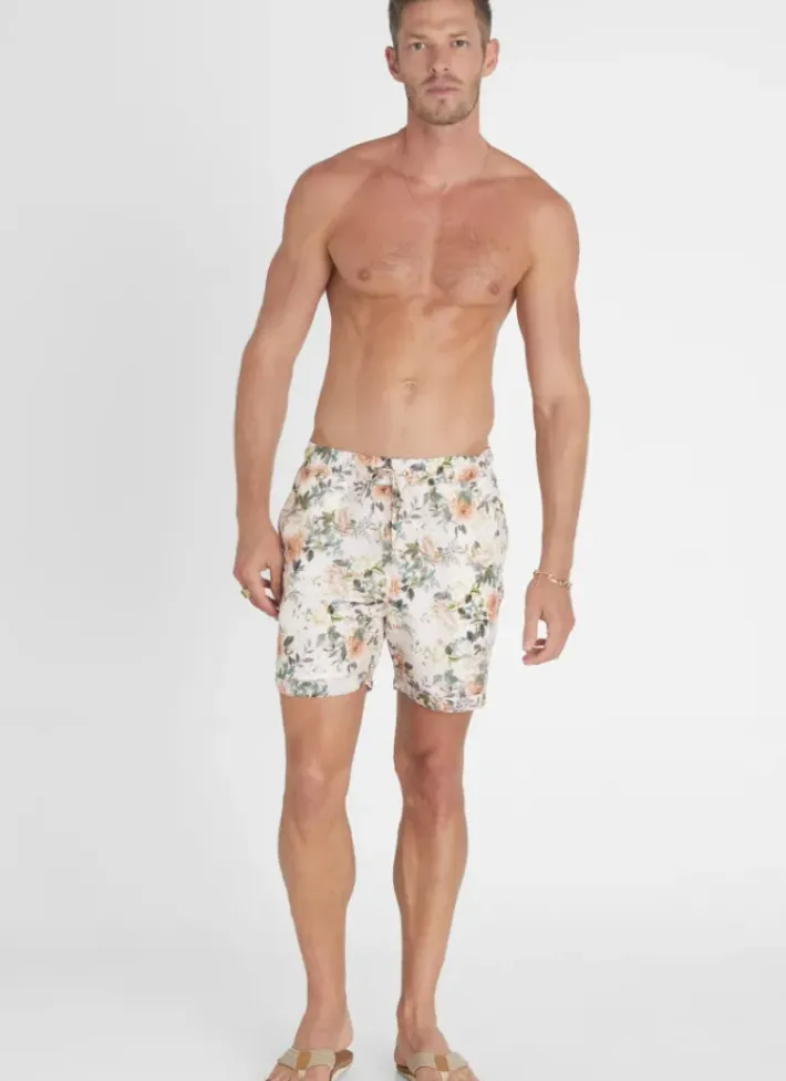 Women Aqua Blu Vervain Taylor Shorts